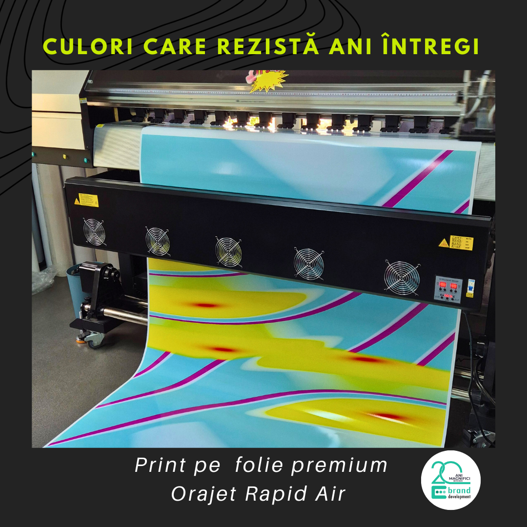 Galerie imagini