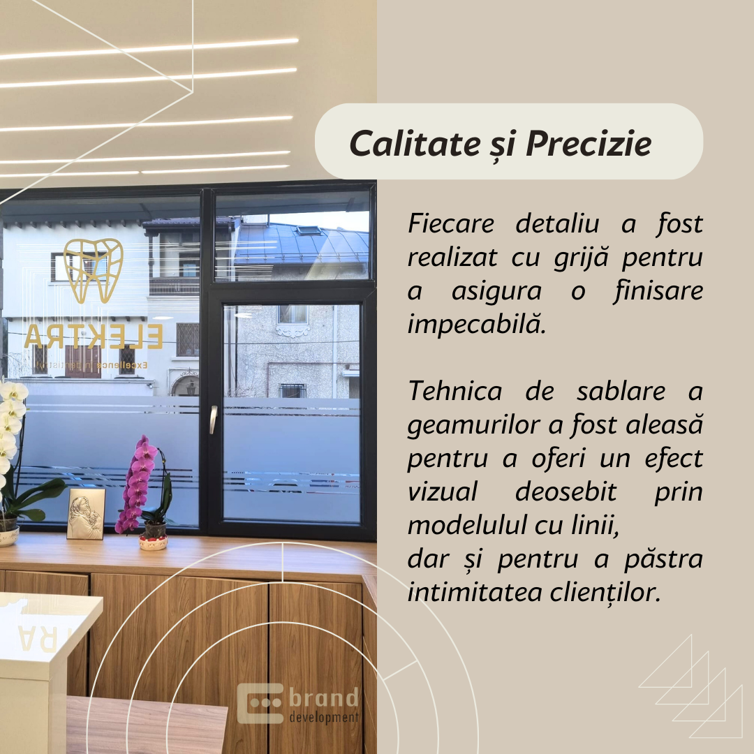 Galerie imagini